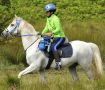Perfeq Water Repellent Riding Tights
