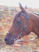 Perfeq Padded Brow C Bit Bridle