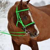 PerfEQ 2 Part Deluxe Biothane Bridle