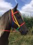 Perfeq 2 Part Deluxe Multi-Coloured Bridle